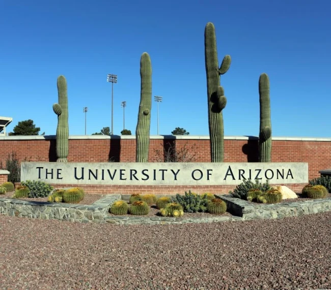 University of Arizona Online