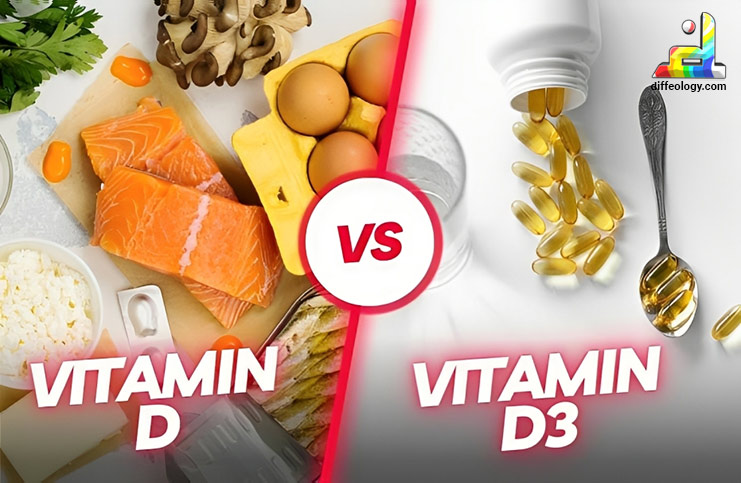 Vitamin D and Vitamin D3