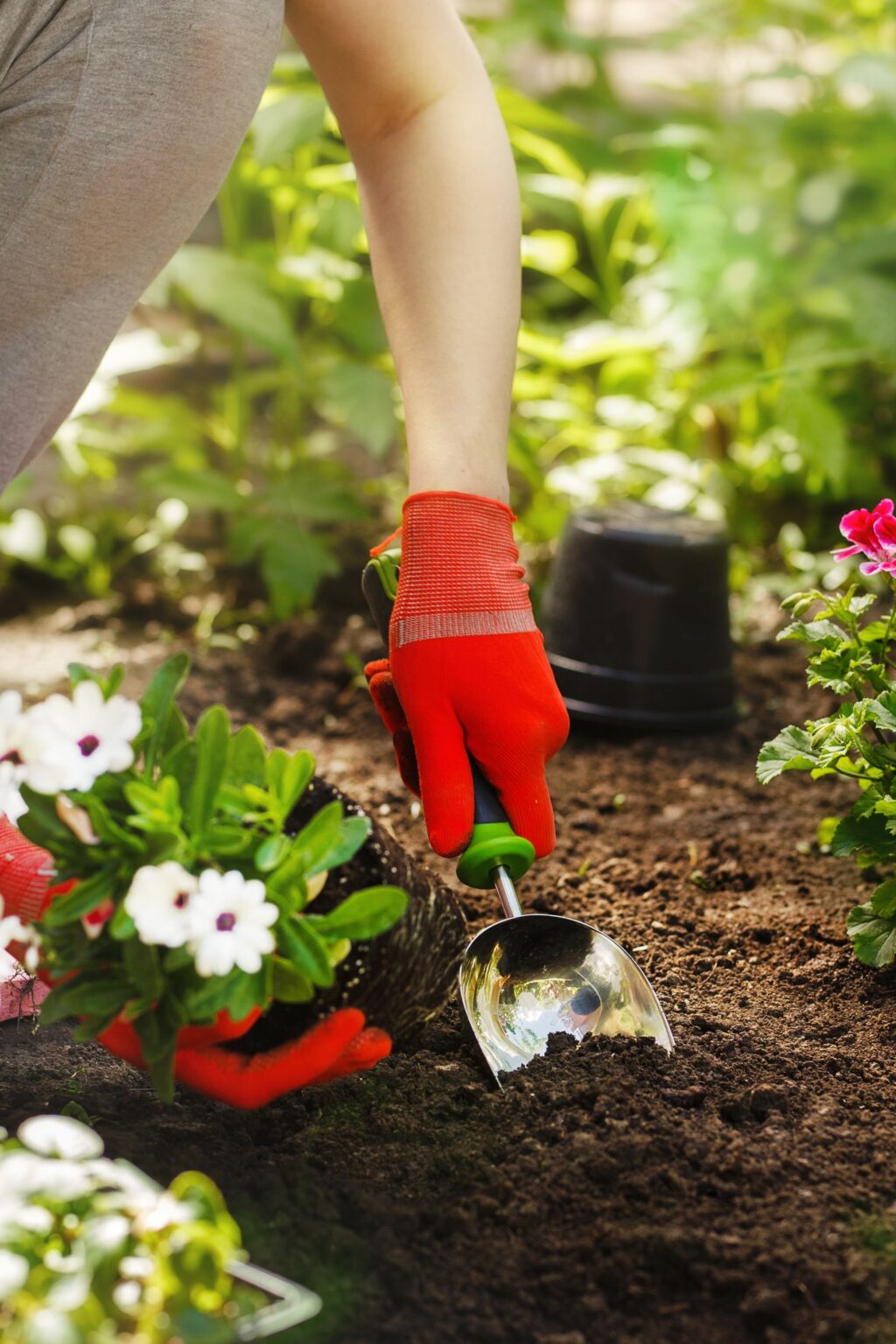 Where to Learn Gardening Online