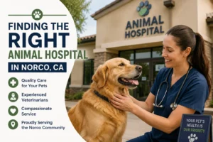 Animal Hospital Norco California providing compassionate veterinary care for pets